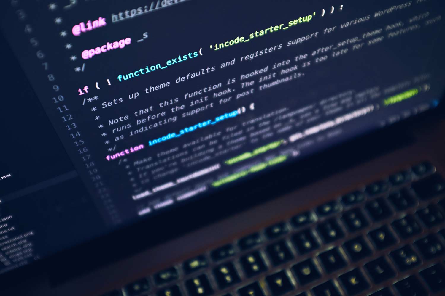 Laptop screen showing WordPress theme setup code with keyboard partially visible below.